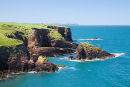 Grassholm Island